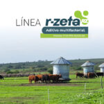 Recría 16% RZ